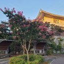 백암온천관광안내소 이미지