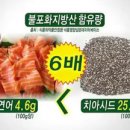 씨드요가 이미지