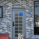 메르시 애견 펜션 | 울산 울주군 메르시펜션 후기 (애견동반 풀빌라)