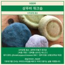비건이레