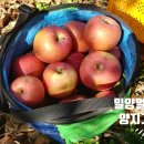 기범농장 네이버블로그