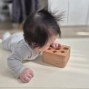 걱정없는 아기 장난감 - 숲소리 원목 교구 두더지 가족찾기