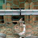 매지밀 딸기농장 이미지