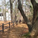 원당산공원 이미지