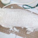 숑숑펫살롱 이미지