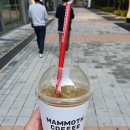 매머드익스프레스 호계데시앙플렉스점 이미지