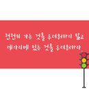 (주)셀피글로벌 이미지
