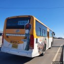 영덕운수 이미지