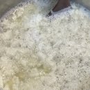 콩달래 이미지