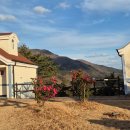 달음산자연휴양림 | [부산의 자연휴양림: 기장 국립달음산 자연휴양림, 숲나들e 예약]