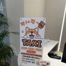 펫사랑 콜 이미지