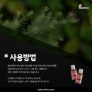레푸스두류점
