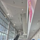 펫쿠키 | 부산 펫쇼 후기｜사은품 성공! 쿠키 쇼핑 제대로 한 날