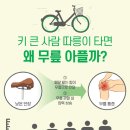 따릉이 새싹따릉이 제작기준 키(cm) 이미지