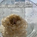 김해리프온공예학원 이미지