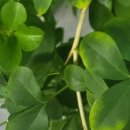 경기시흥내과의원 이미지