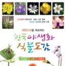 법인산에들에 이미지