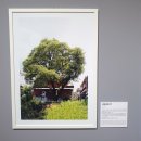 사파동235 이미지