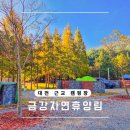 금강PC | 대전 근교 캠핑장 세종시 금강자연휴양림 강마루 야영장 데크 예약 후기