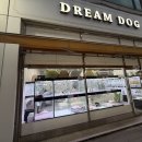 드림독 이미지