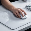 레이저 코리아 Razer Viper V4 Pro 화이트 초경량 무선 게이밍 마우스 후기