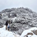 2025 선천성심장병 인식개선 단체산행 (8회) - 북한산 836.5m 이미지