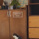 윤슬로풀엔스파 이미지