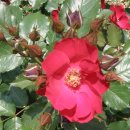 갈전농장 이미지