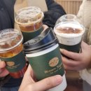 브라운시그널포유어레스트