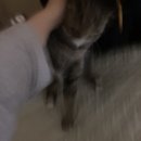 스마일 헬스클럽 | 어제의 일들은 잊어, 누구나 조금씩은 틀려