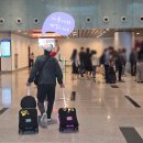 패스트트랙투원 | 다낭 입국심사 꿀팁 다낭국제공항 패스트트랙 고민중이라면?(공항 픽업 차량 추천)