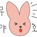 광주 고양이분양 브로스펫 네이버블로그