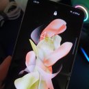 SM-F721N[갤럭시 Z플립4] <b>세티즌</b>에서 중고폰 샀다
