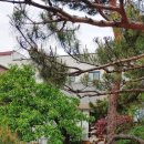 산과들가든 이미지