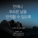 틴트팩토리 네이버블로그