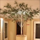 본초당한의원 이미지