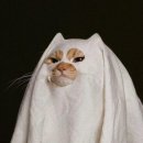 (주)지금 이미지