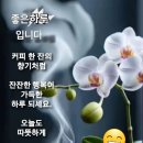 햇살요양보호사교육원 네이버블로그