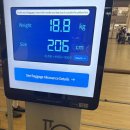 선지정food | 10월의 괌&amp;사이판 [8박10일] early honeymoon 🐬 Day1 - 괌 티웨이항공 두짓타니 마이크로네시아...