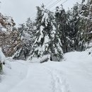 만길농장 이미지