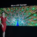 현실화 되어가는 Micro LED TV 이미지