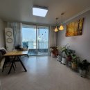 신방한라동백@ 2 이미지