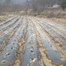 산모퉁이2 이미지