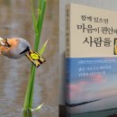 西山大師 解脫詩 (서산대사 해탈 시) 이미지