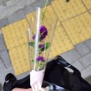 맛있는황제족발 이미지