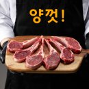 블루펫 - 고양시 덕양구 대장길 56-7 | 블루펫