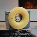 (주)아하토이 이미지