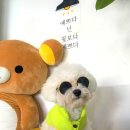 카페;오숑
