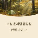 보성 윤제림 캠핑장 예약 꿀팁