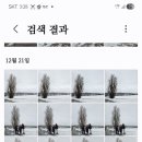 호남부란자